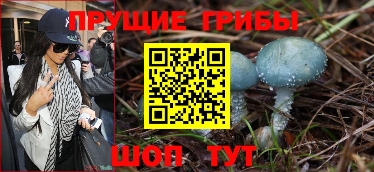 Псилоцибиновые грибы Psilocybine cubensis  купить  цена  Чапаевск  Галлюциногенные грибы прущие грибы  Вход с VPN 